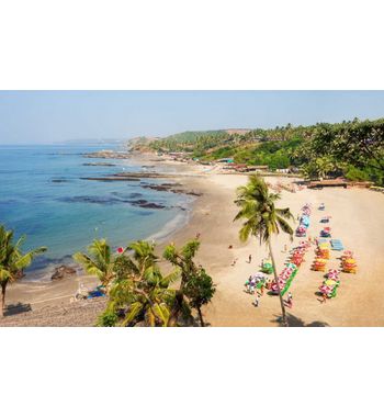 Раннее бронирование тура на Гоа из Узбекистана — отдых по лучшим ценам!